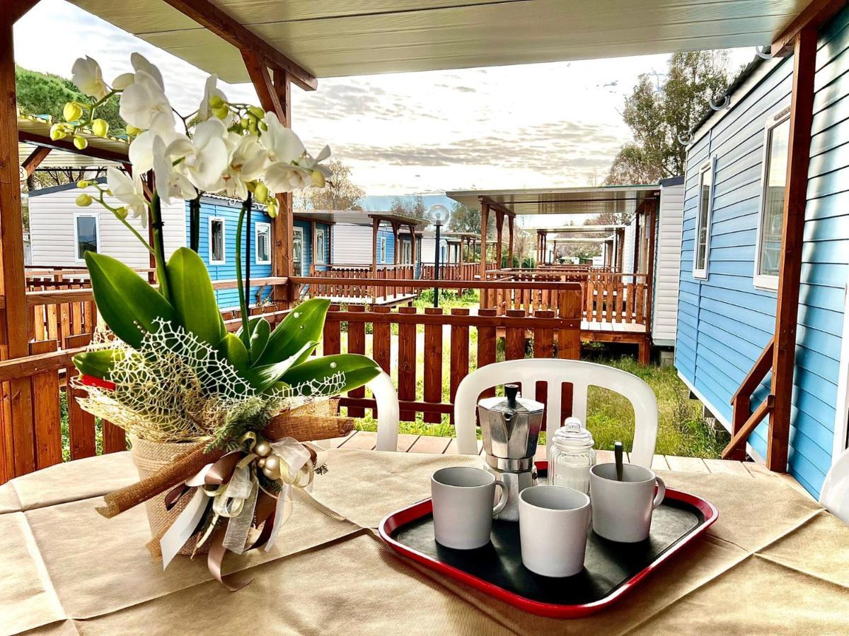 Camping Village Tuscia Tirrenica Таркиния Екстериор снимка